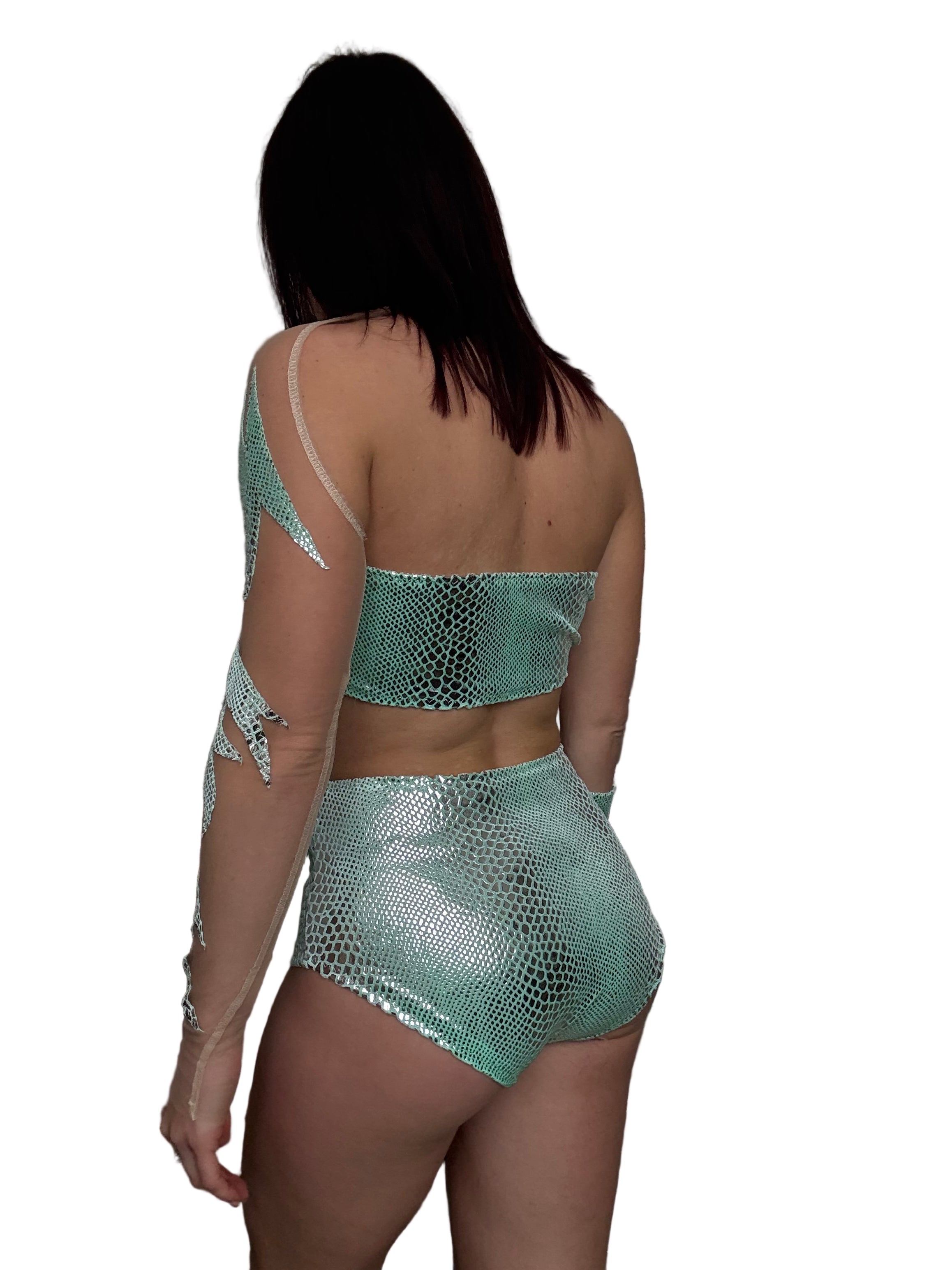 Dragon edition summer